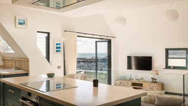 The Penthouse photo 9