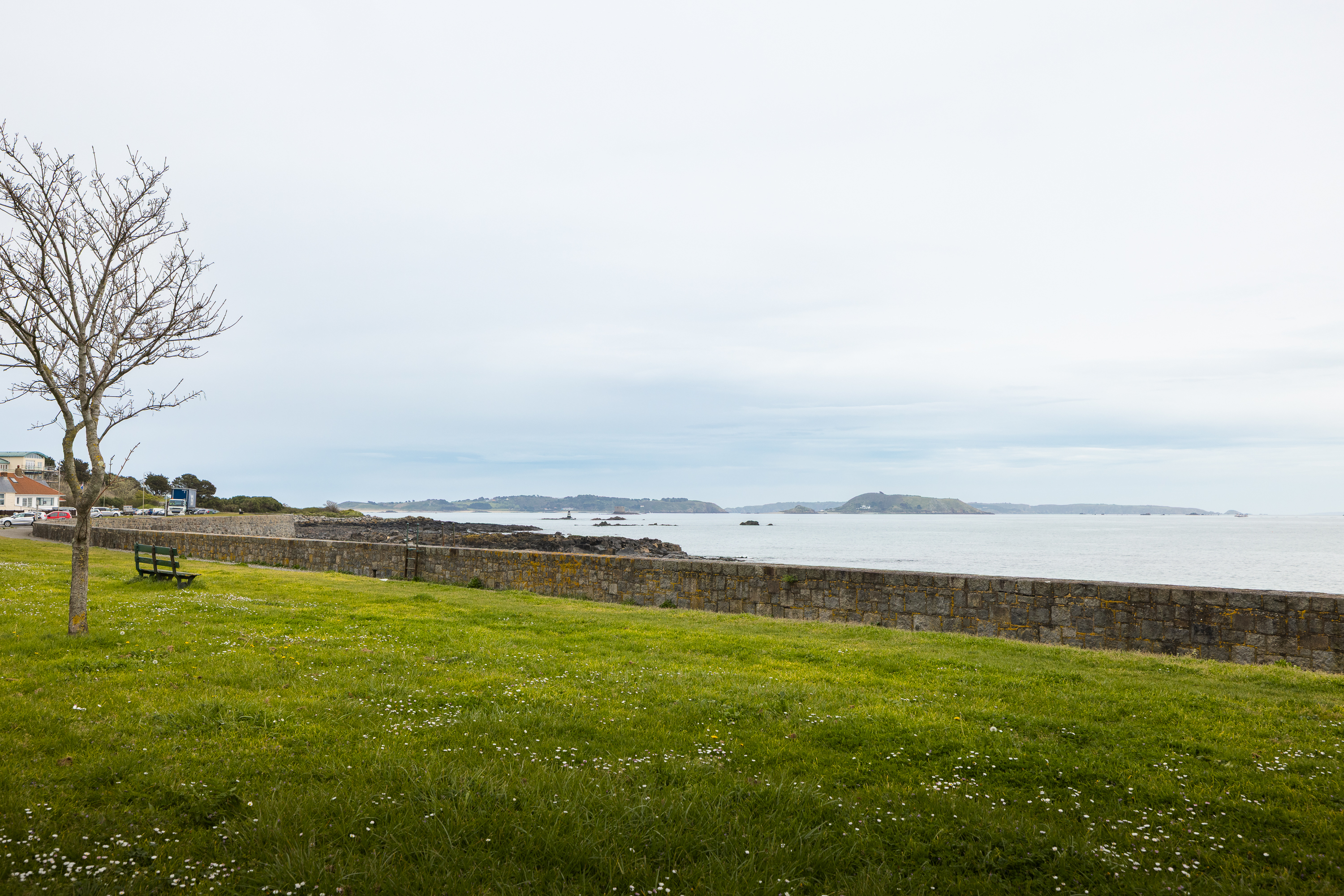 Petit Ruau photo 8