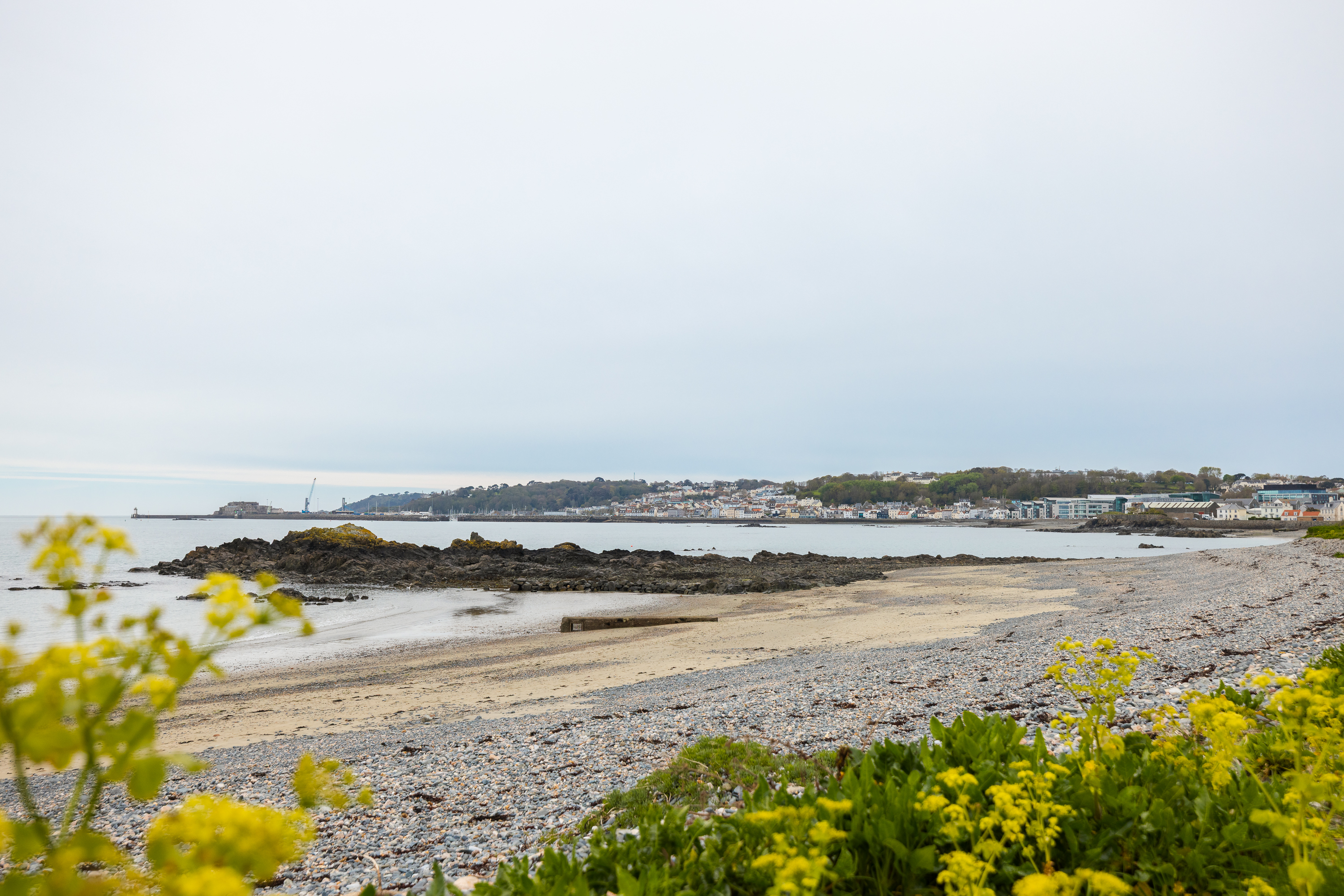 Petit Ruau photo 9