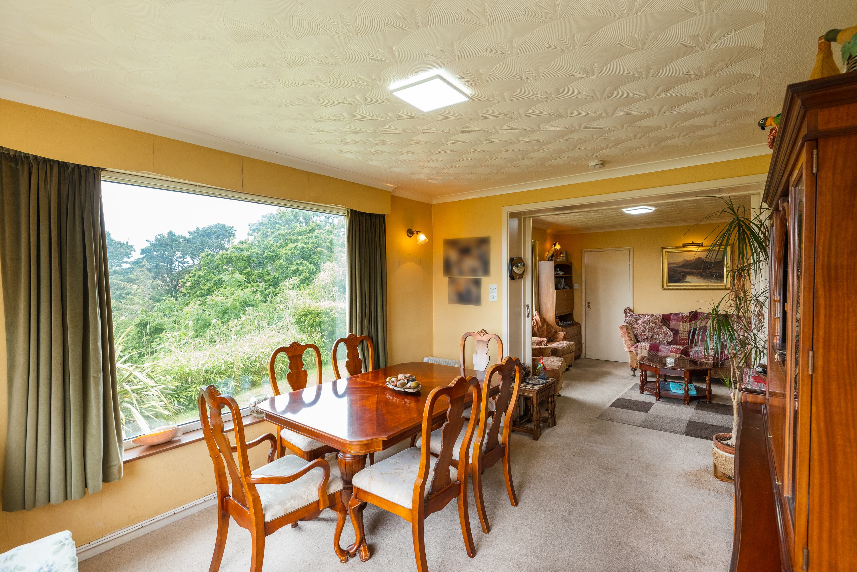 Davana Vista photo 9