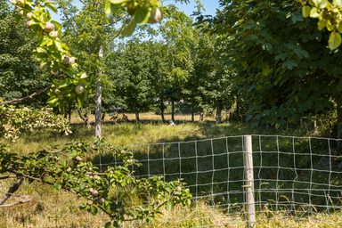 Le Vert photo 20