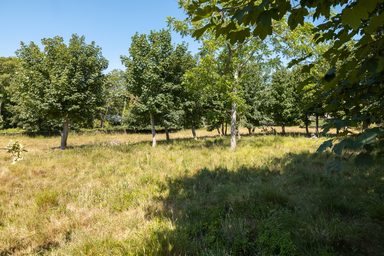 Le Vert photo 21