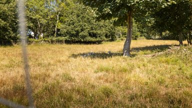 Le Vert photo 22