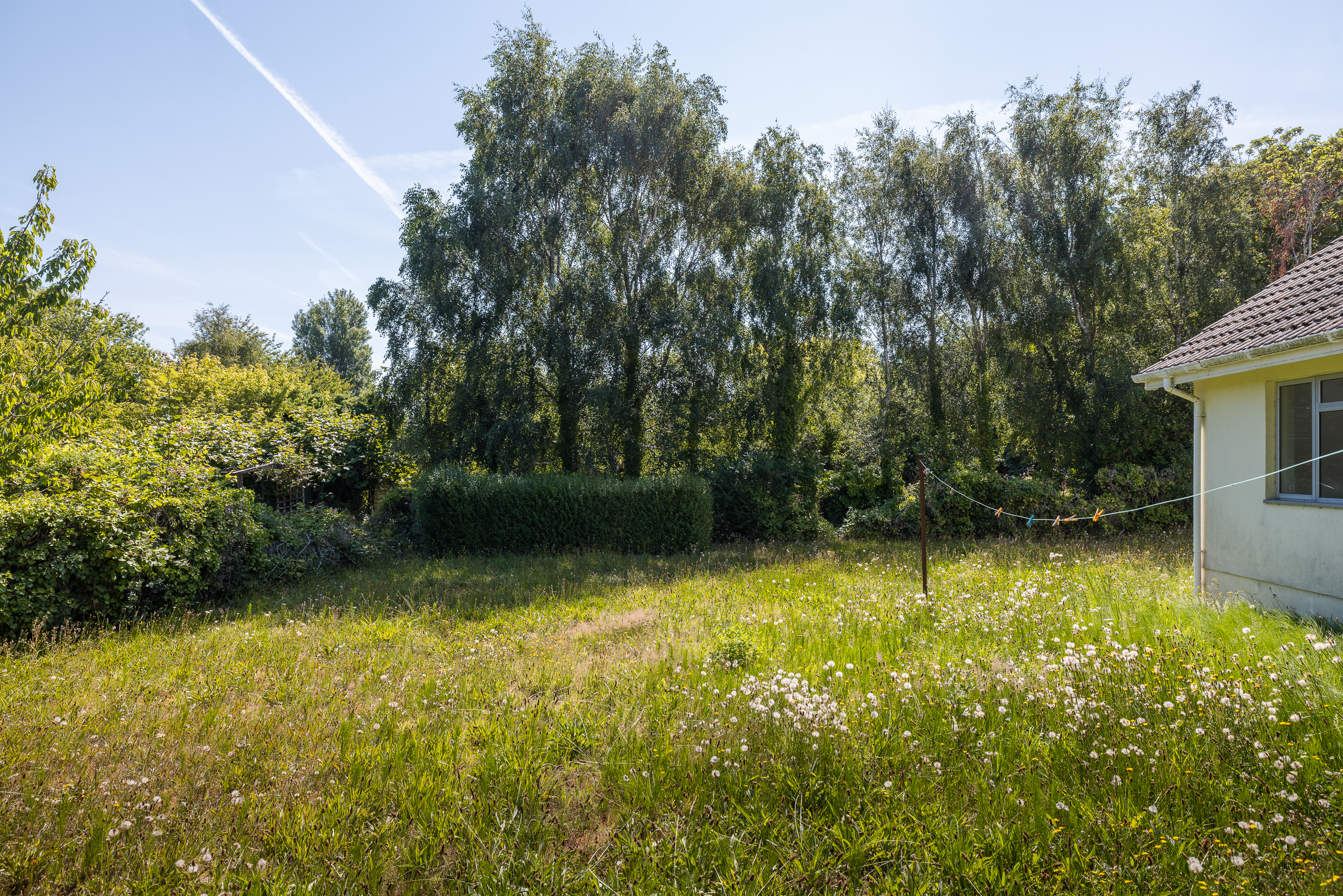 Meadow Springs photo 17