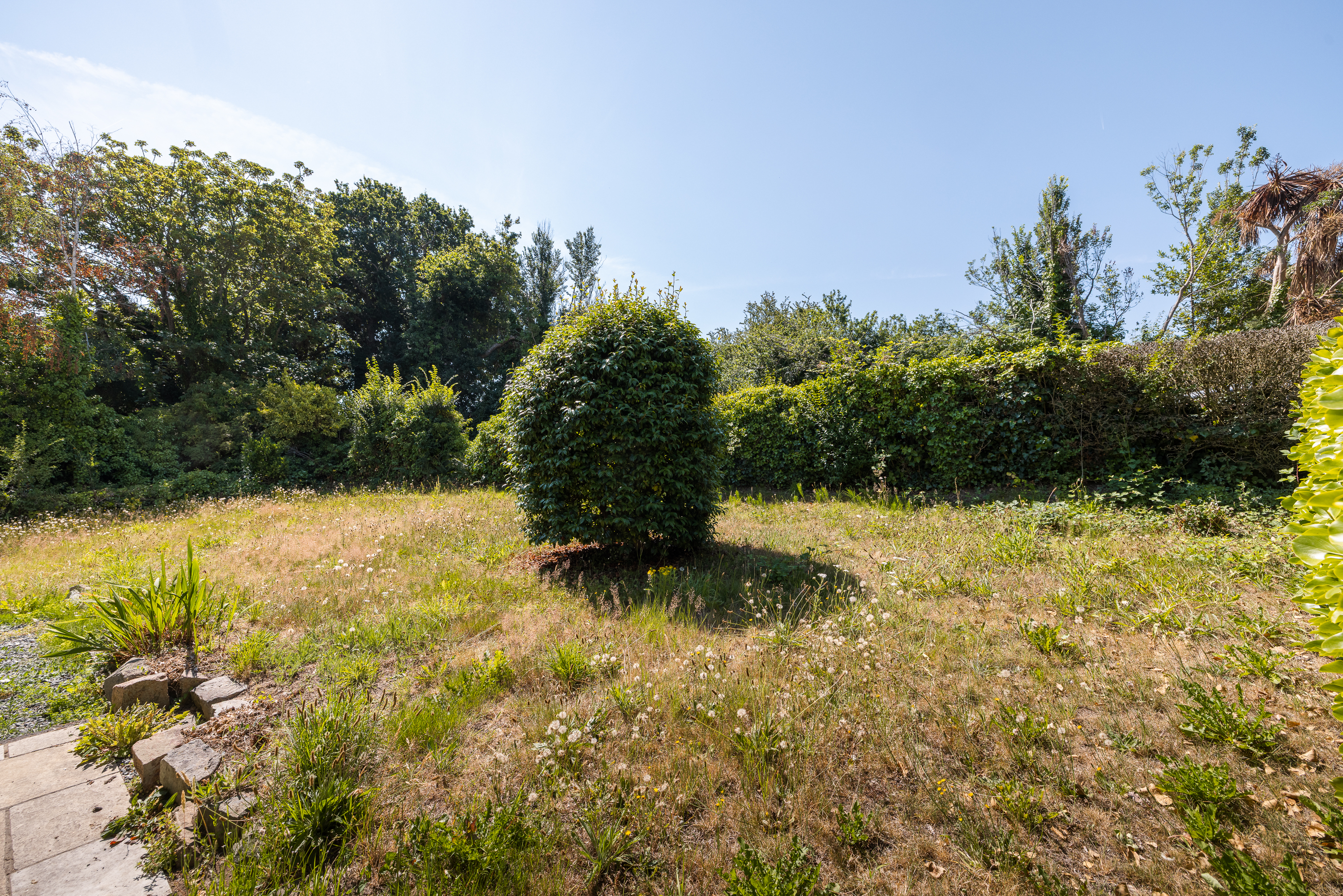 Meadow Springs photo 23