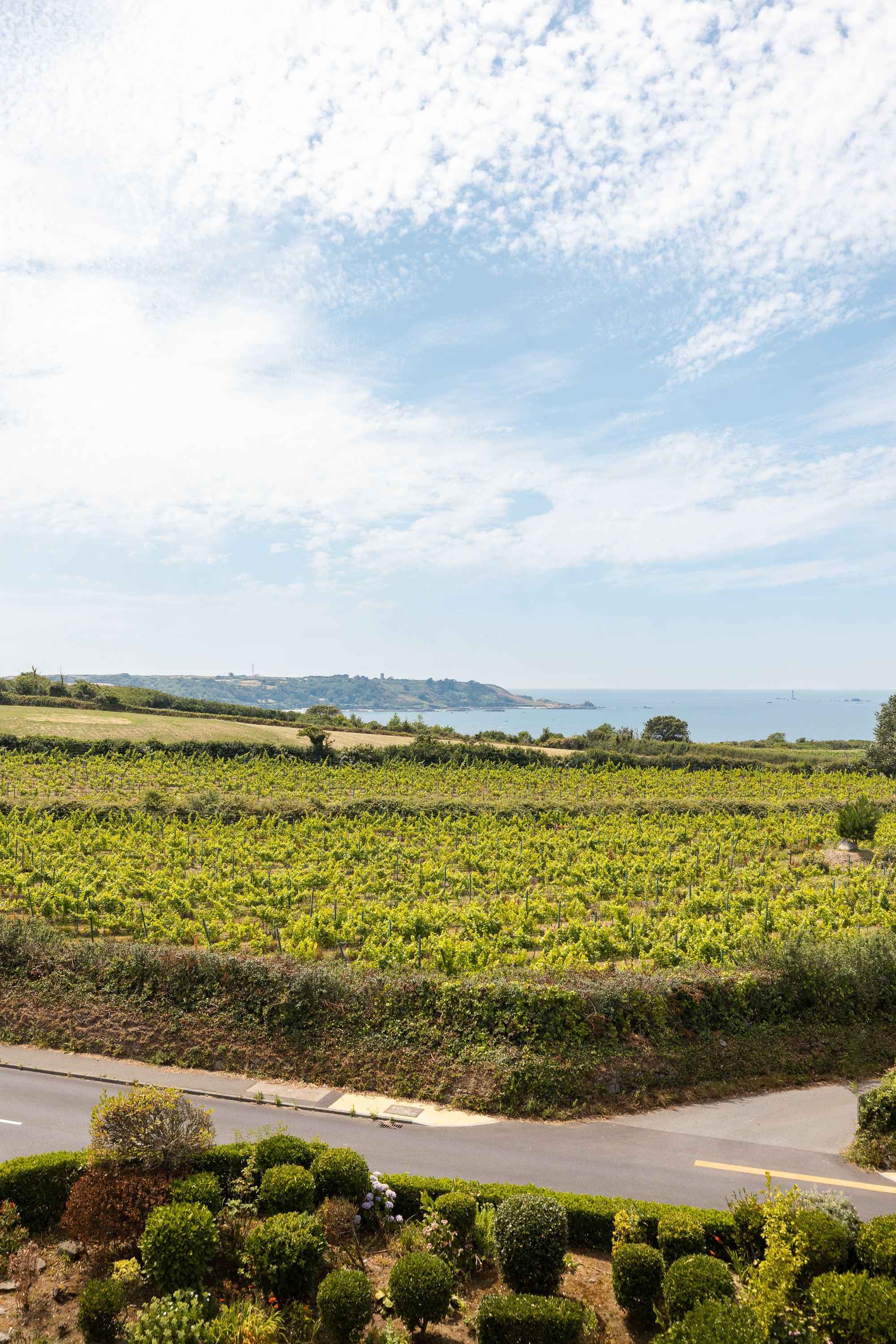 La Pointe Farm photo 47