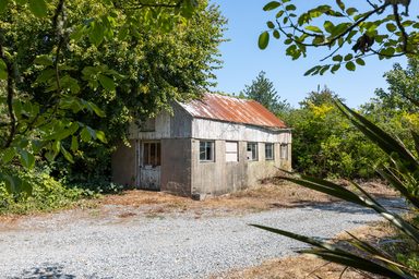 The Barn photo 7