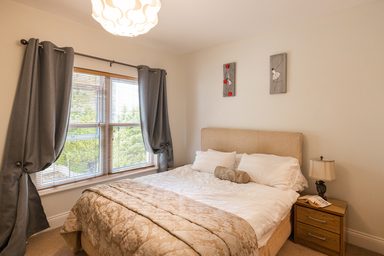 Apt. 1, Sardrette Court photo 6