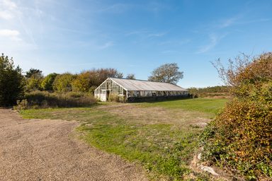 Cavendish photo 56