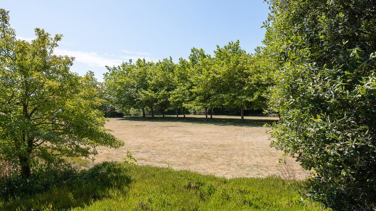 The Barn - photo 12 of 23
