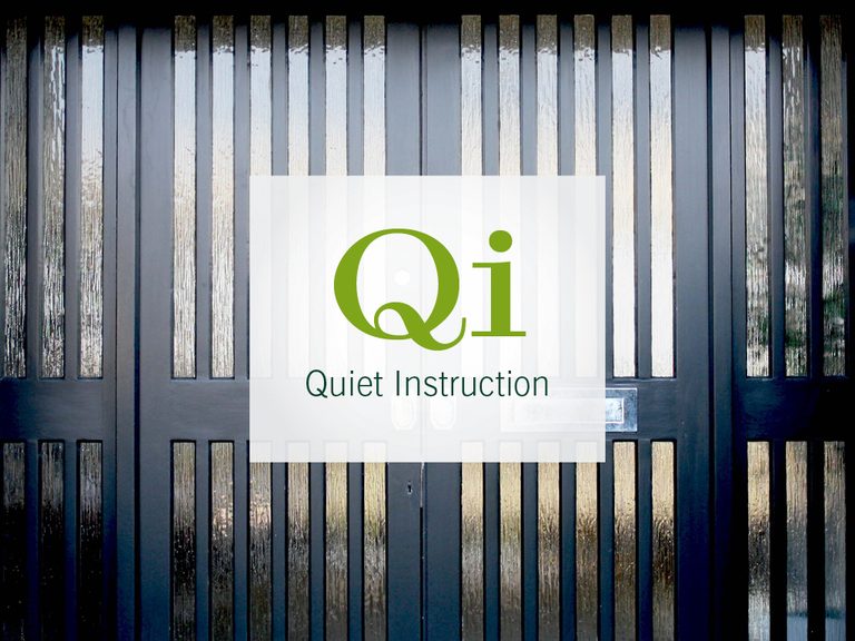 Qi photo 1