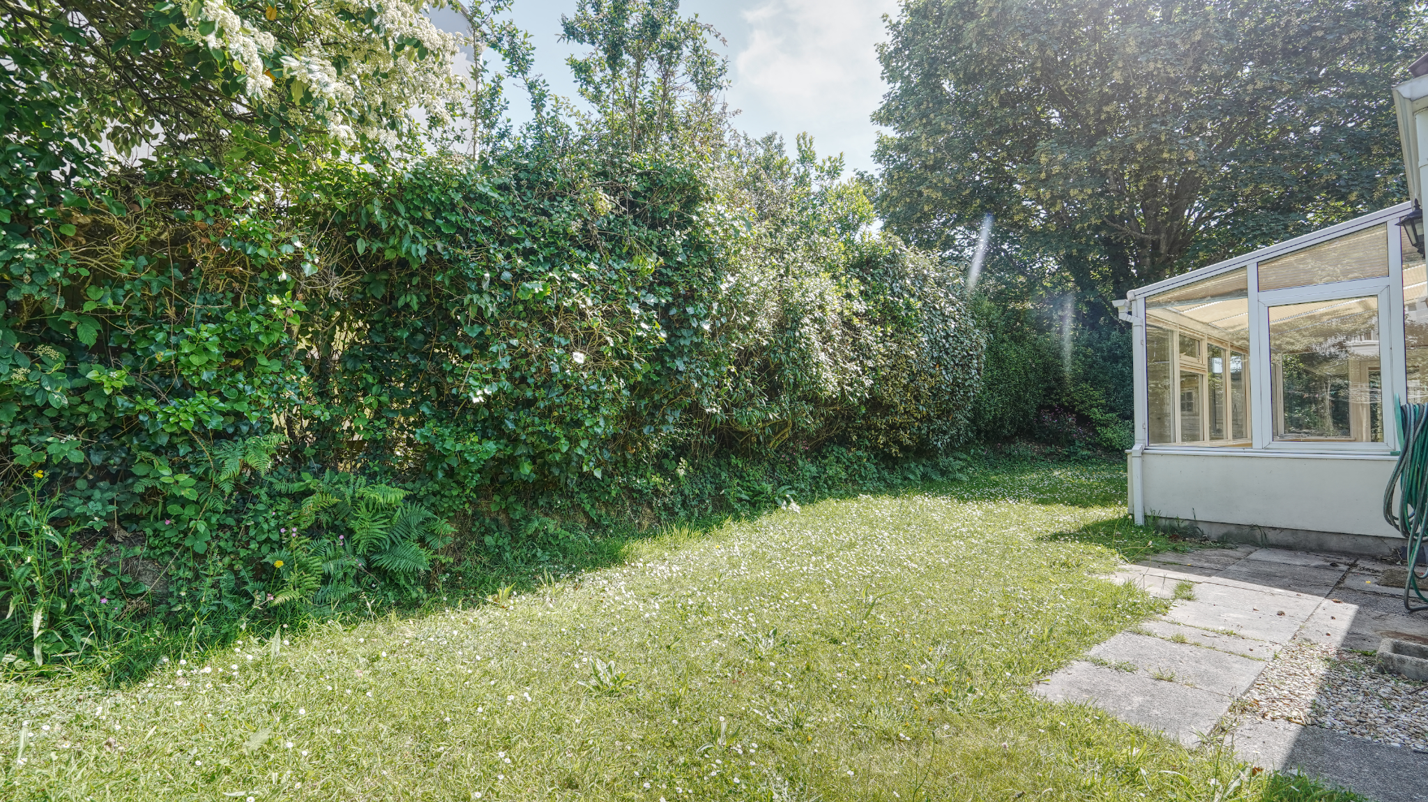 Cherry Trees photo 20