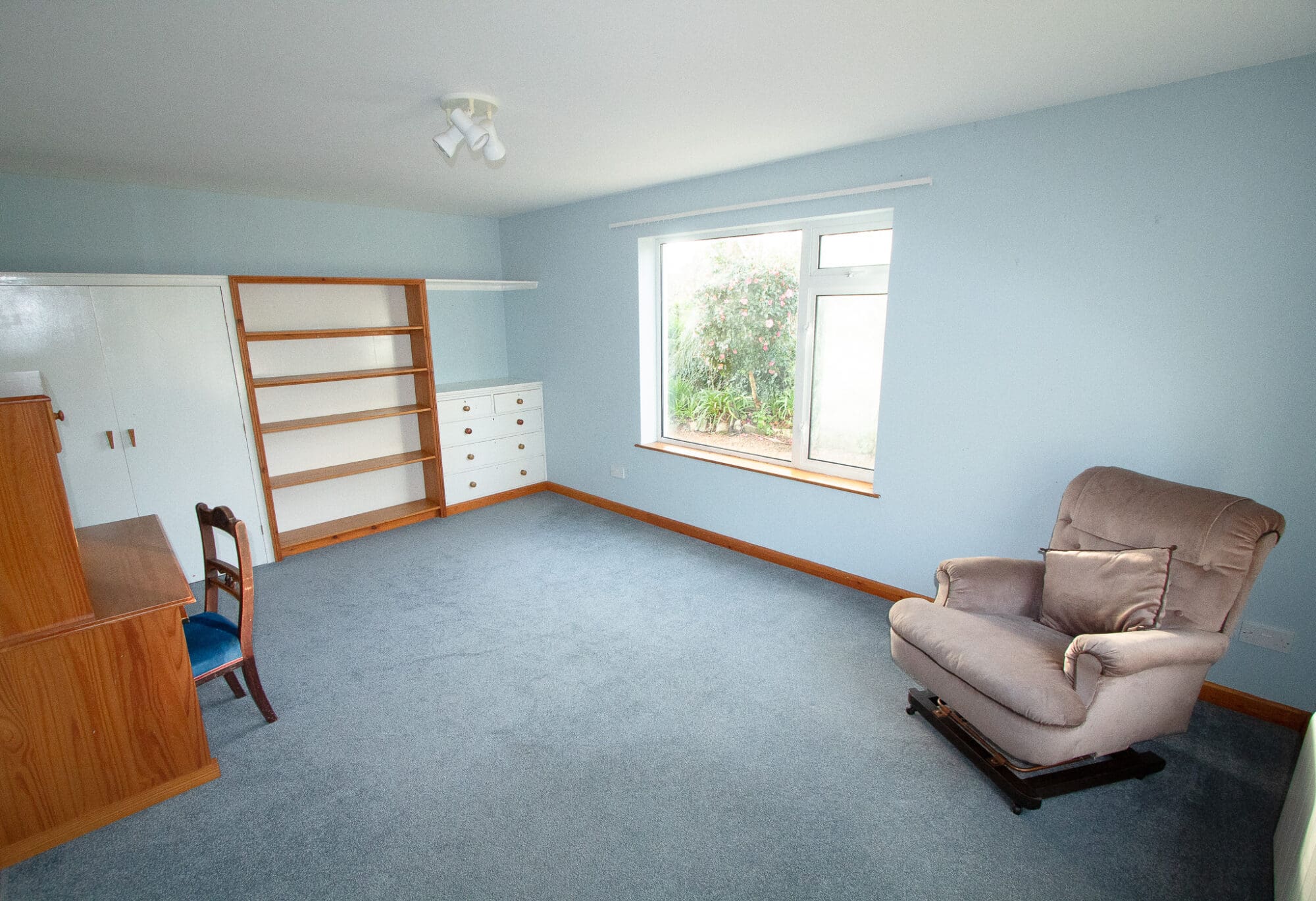 Ferndale photo 20