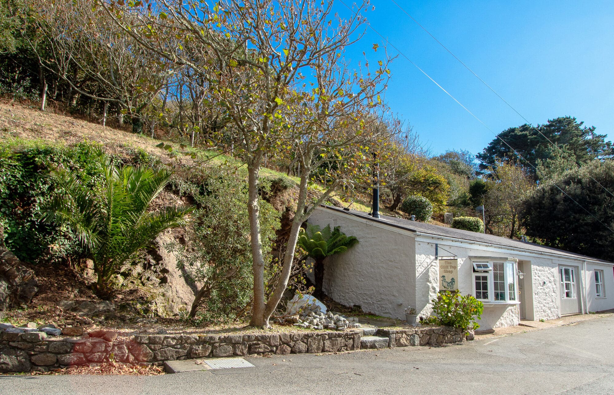 The Cliff Top Shop photo 1