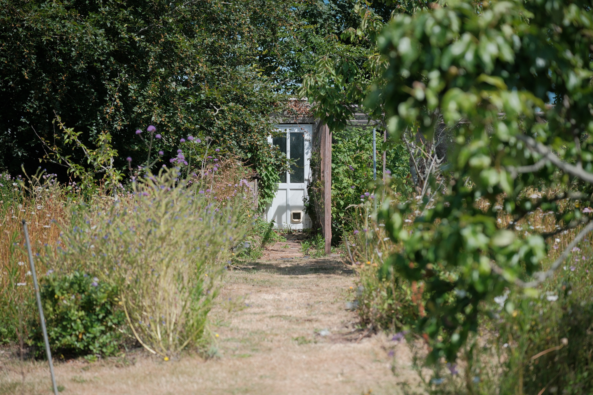 Cavendish photo 57