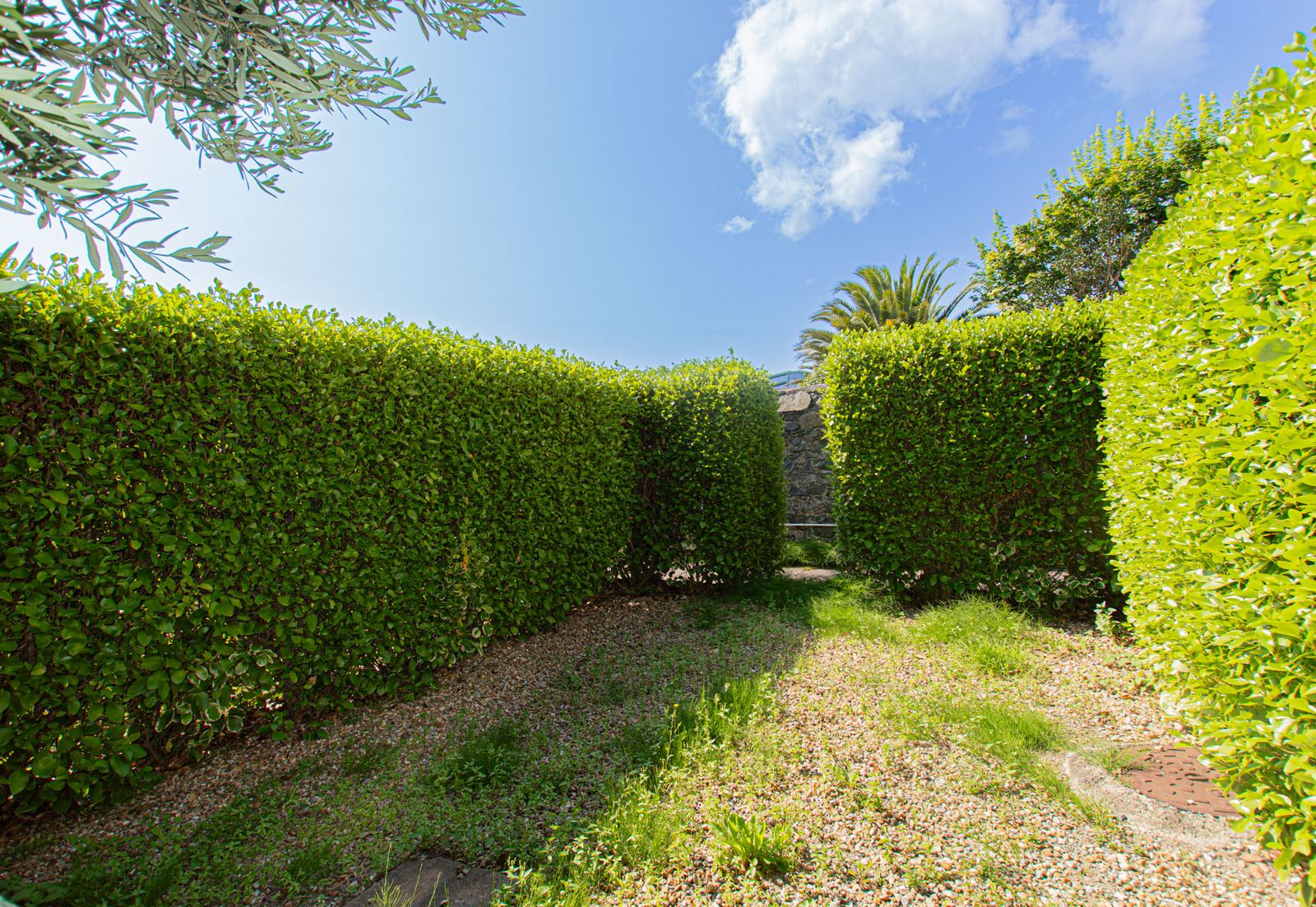 3 Castle View photo 17