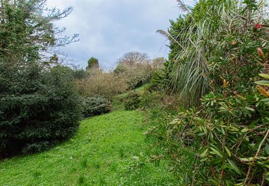 58 Mount Durand photo 8