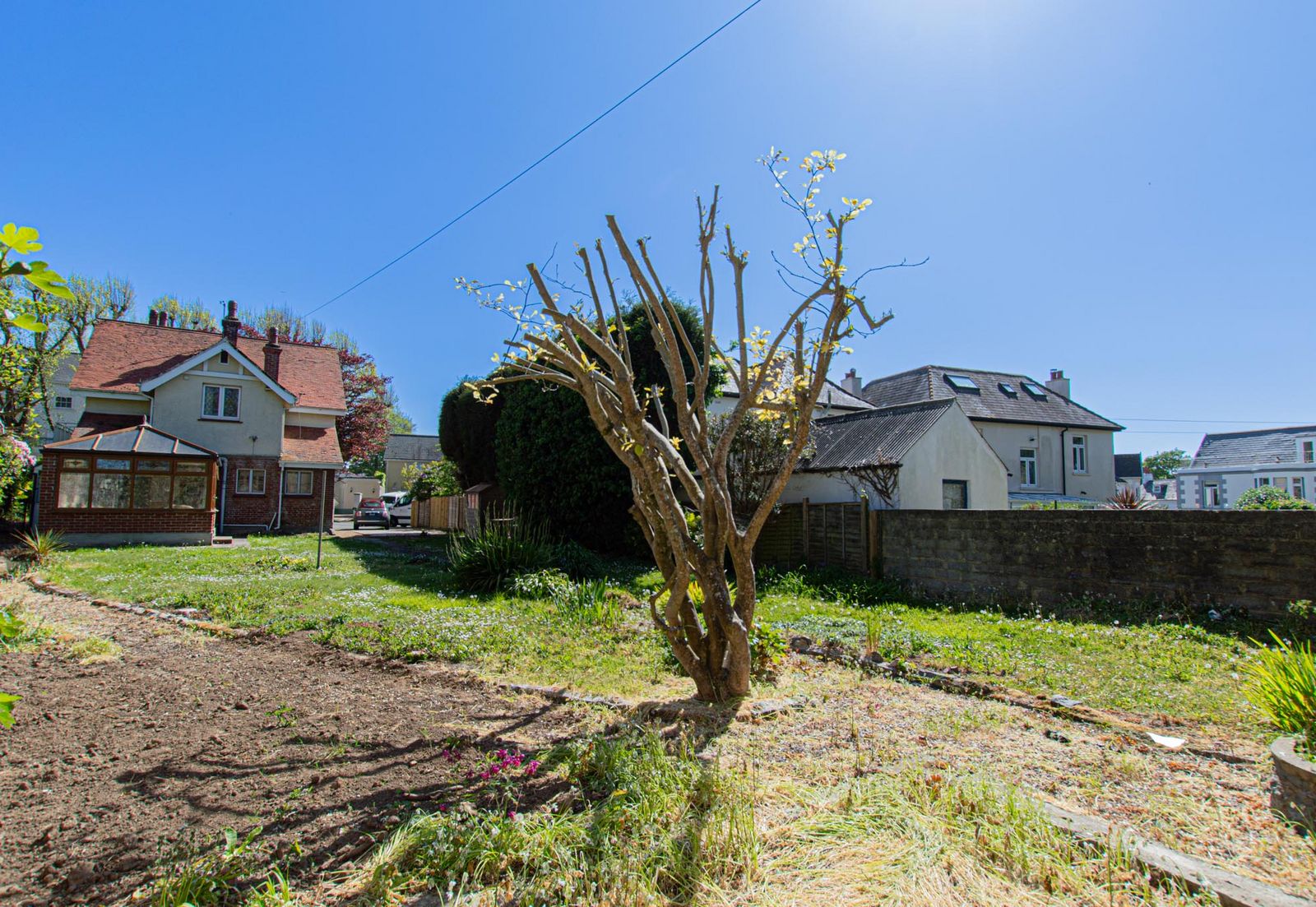 Oaklea photo 40