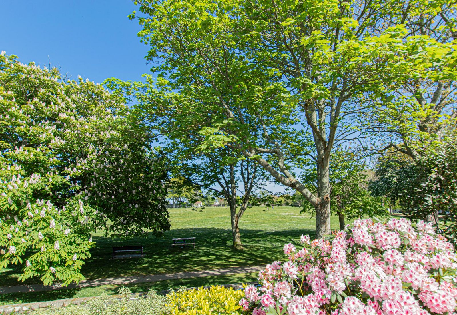 Oaklea photo 34