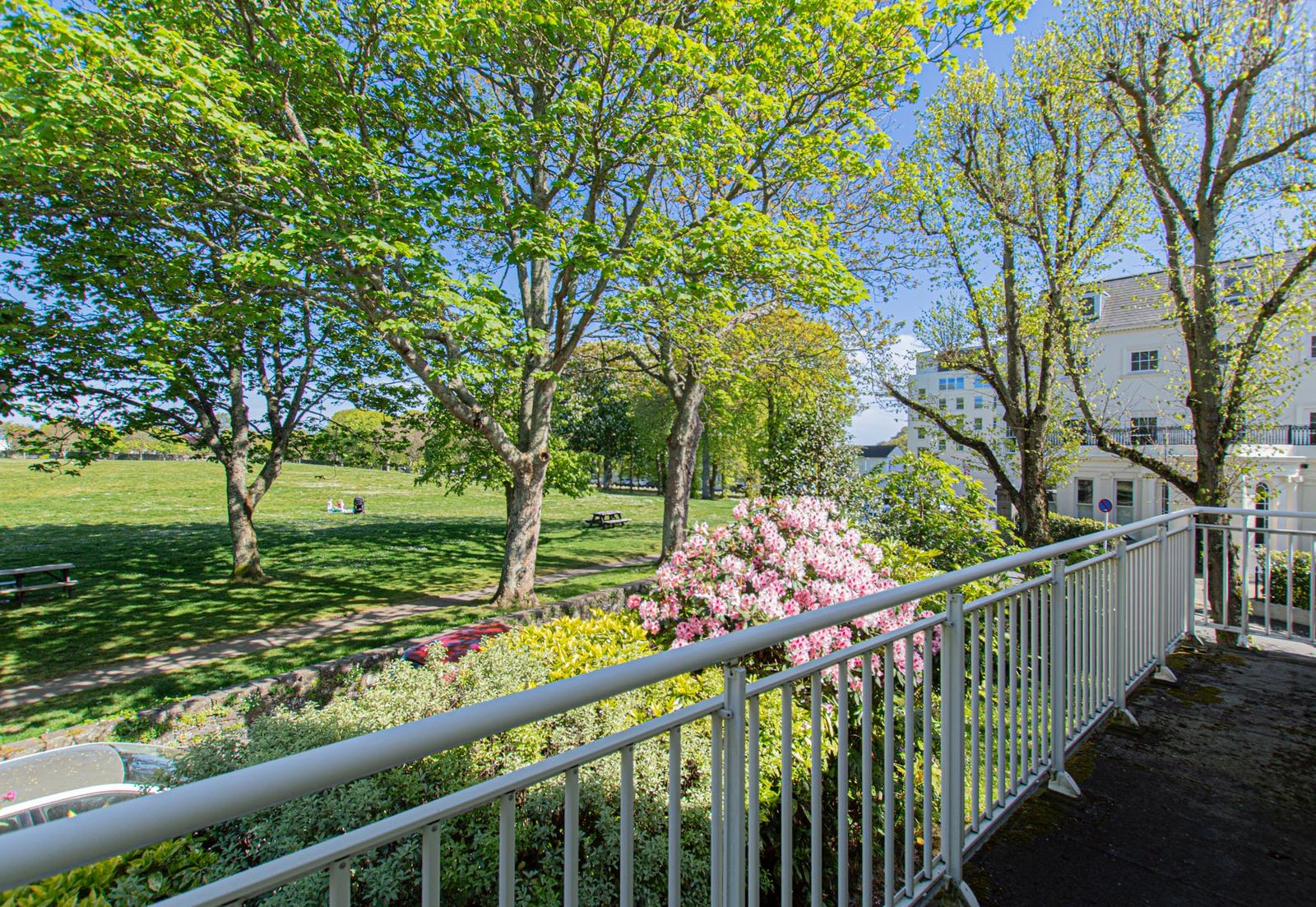 Oaklea photo 33
