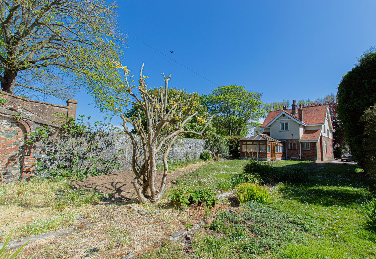 Oaklea photo 39