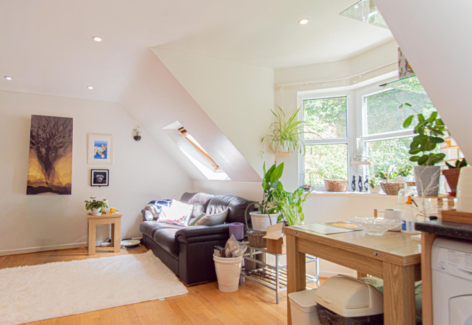 Apartment 17, Millmount photo 6