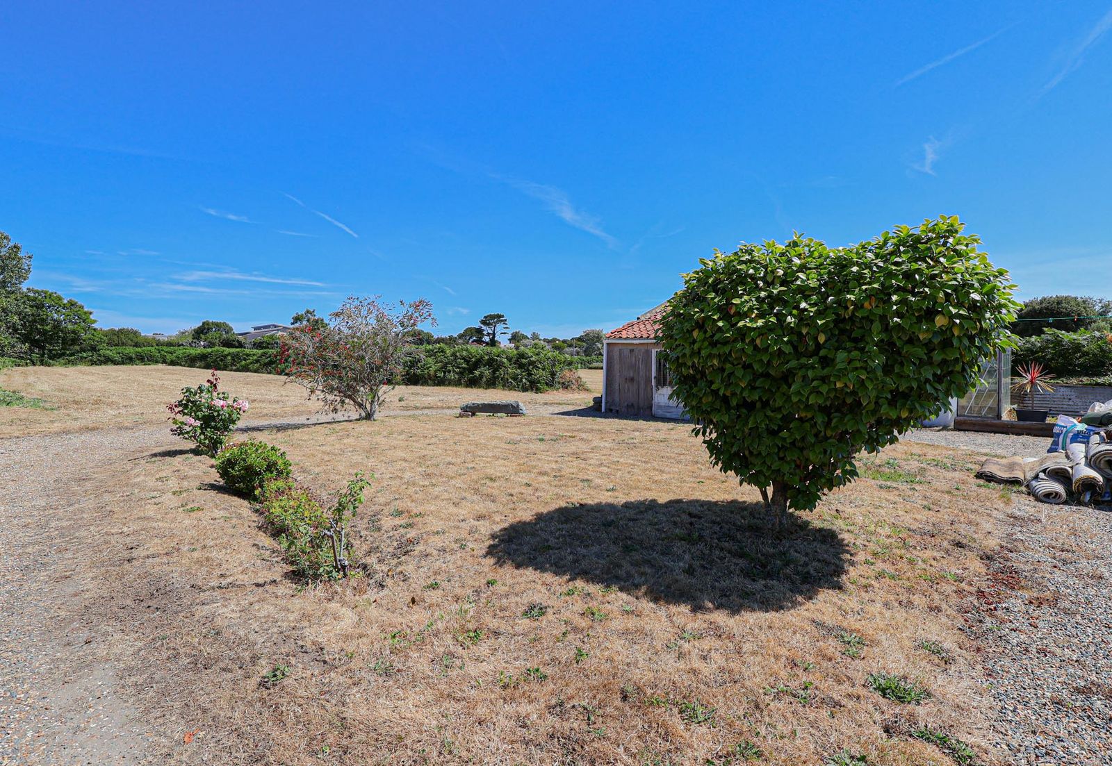 New Place photo 29