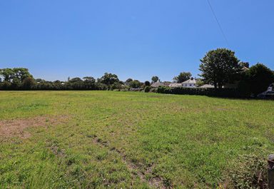 Agricultural Field - Le Friquet photo 2