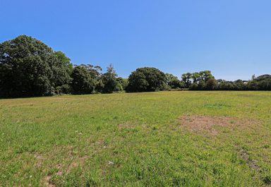 Agricultural Field - Le Friquet photo 3