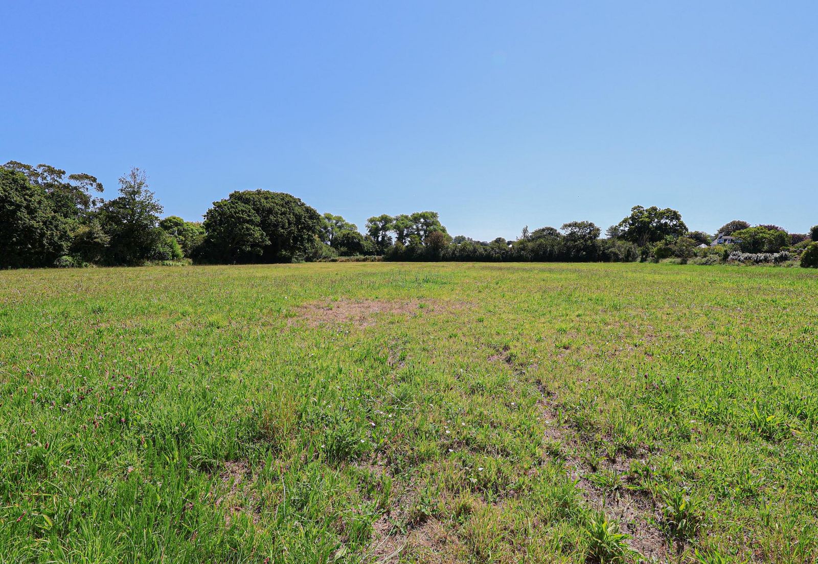Agricultural Field - Le Friquet photo 1