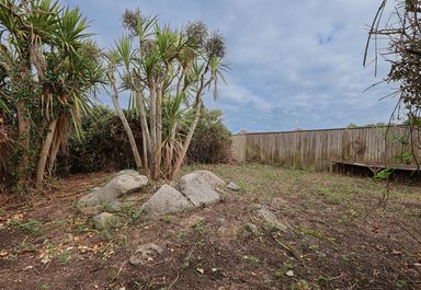 Stoffer photo 31