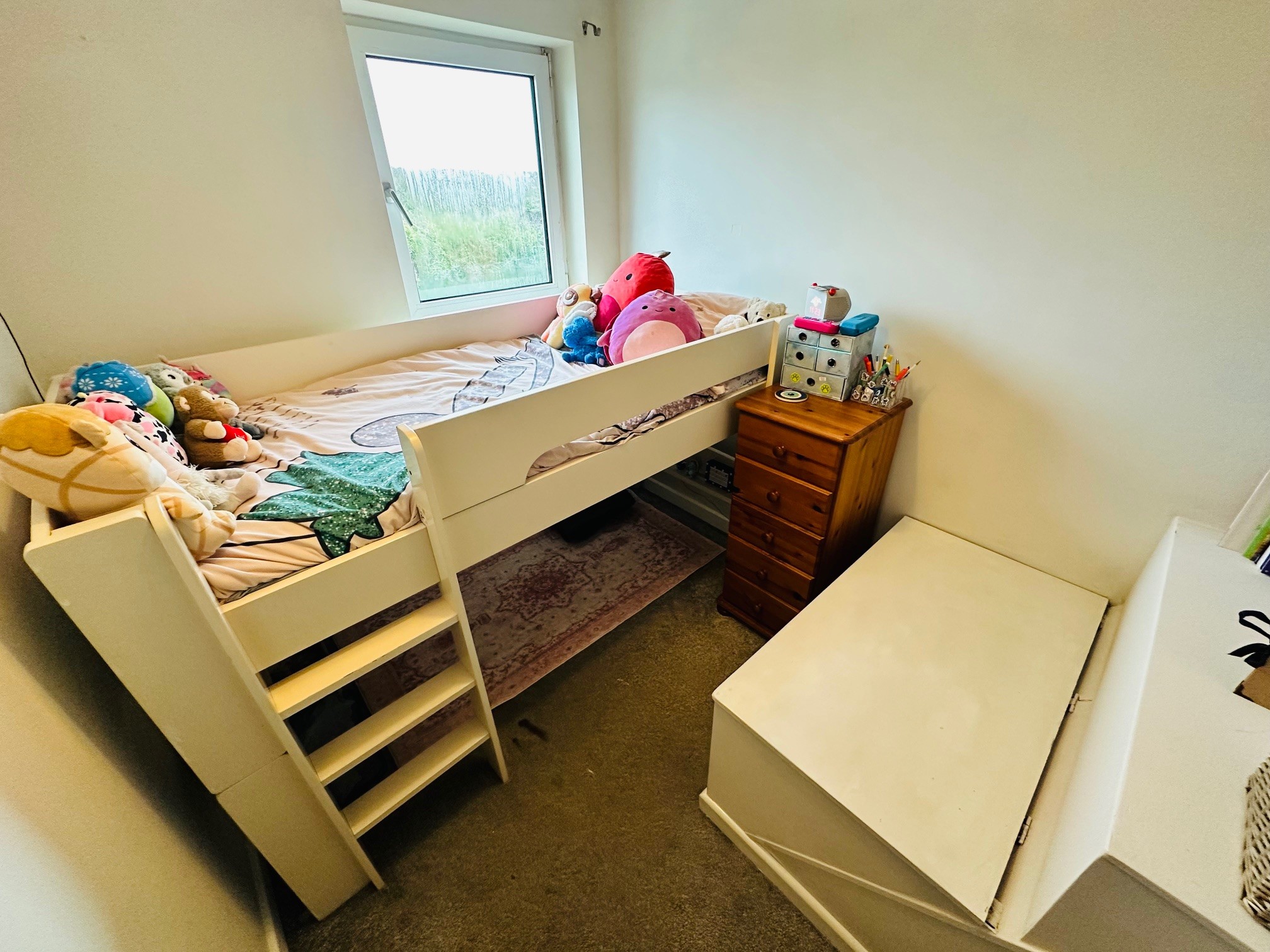 Hawke's Nest photo 9