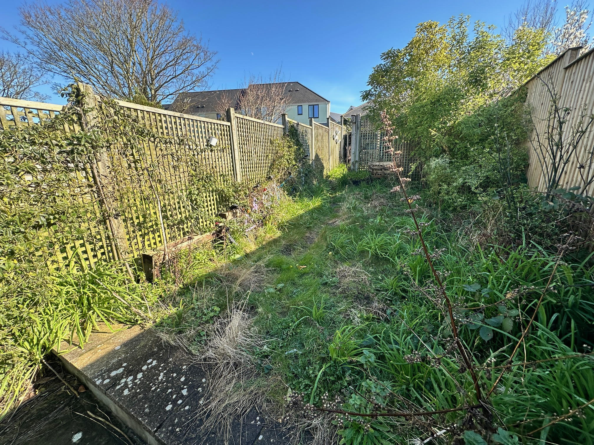 7 Westbourne Crescent photo 17