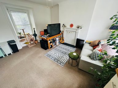 Flat 3, Springfield photo 4