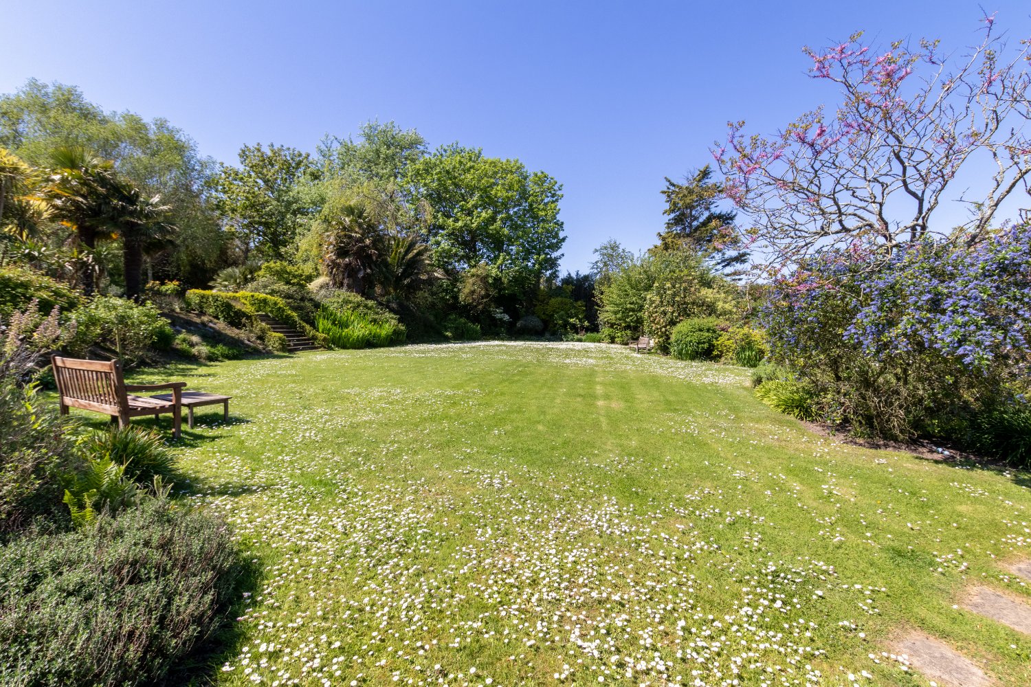 Kings Mills Farm photo 40