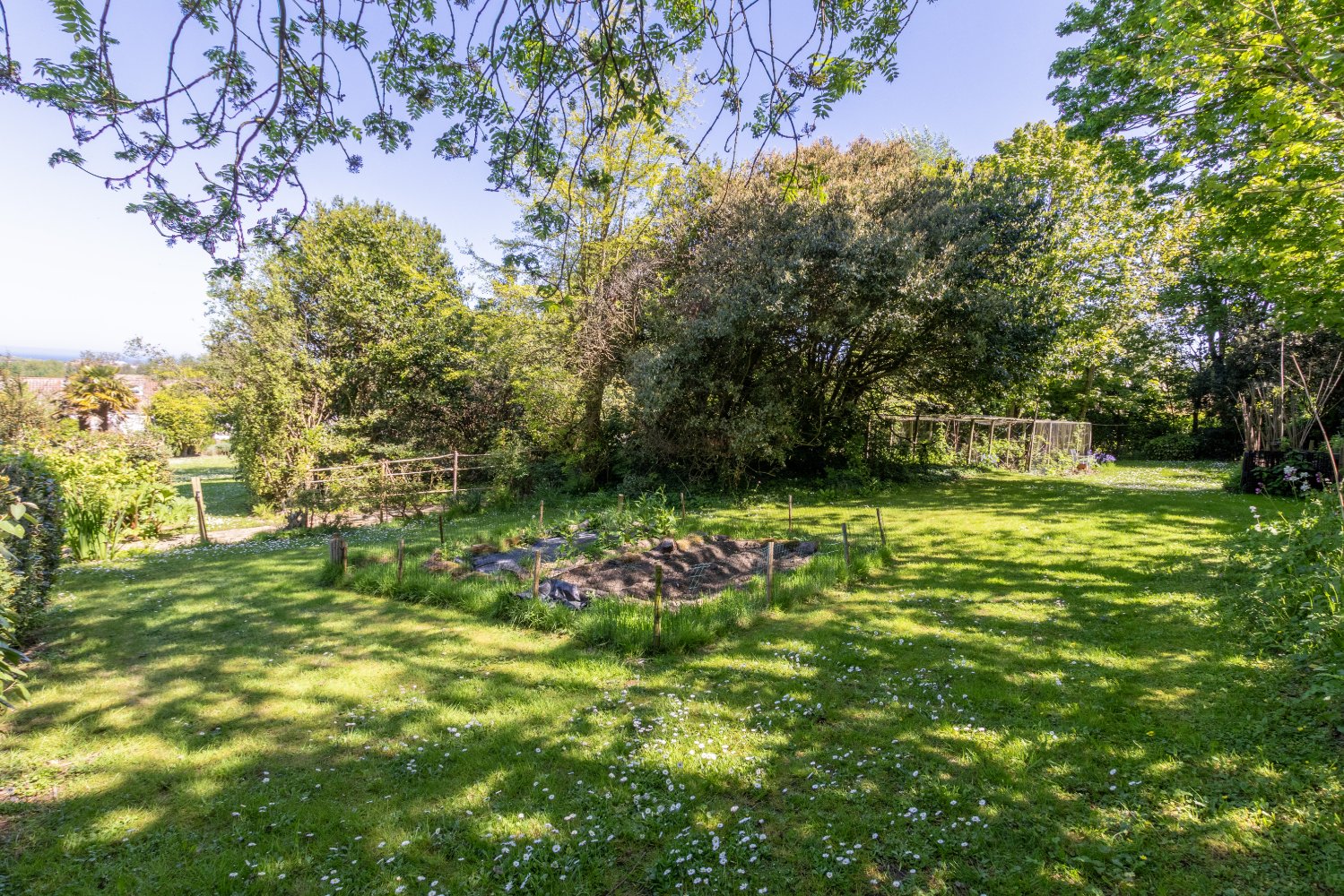 Kings Mills Farm photo 44