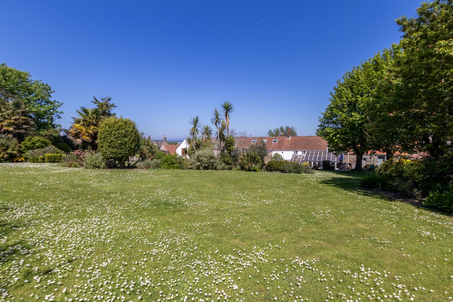 Kings Mills Farm photo 45