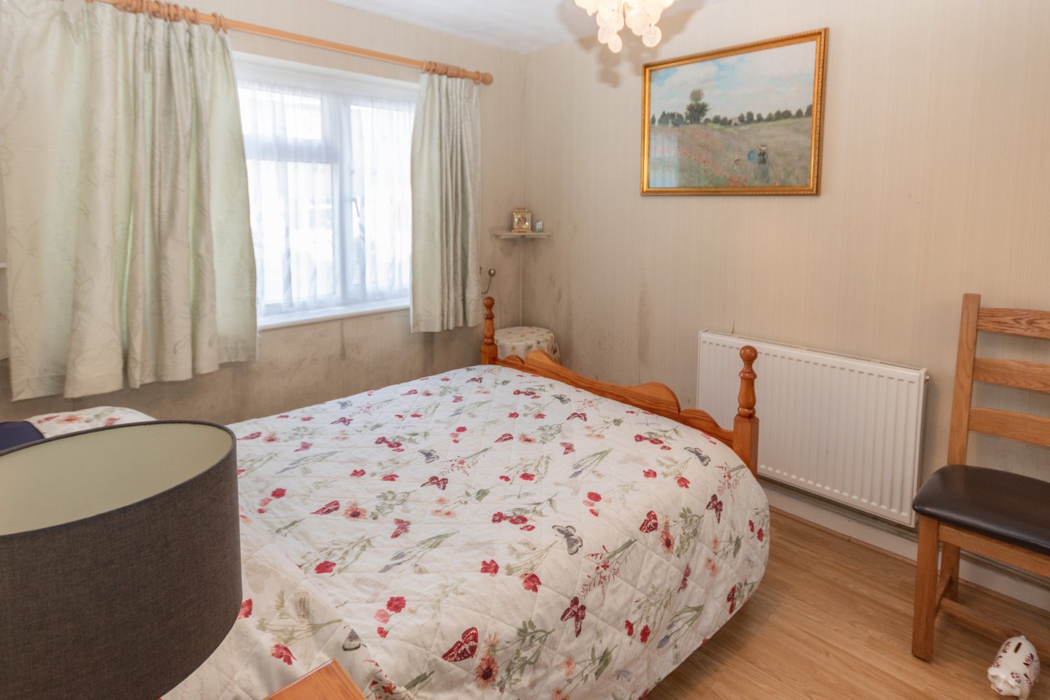 Mirabelle photo 6