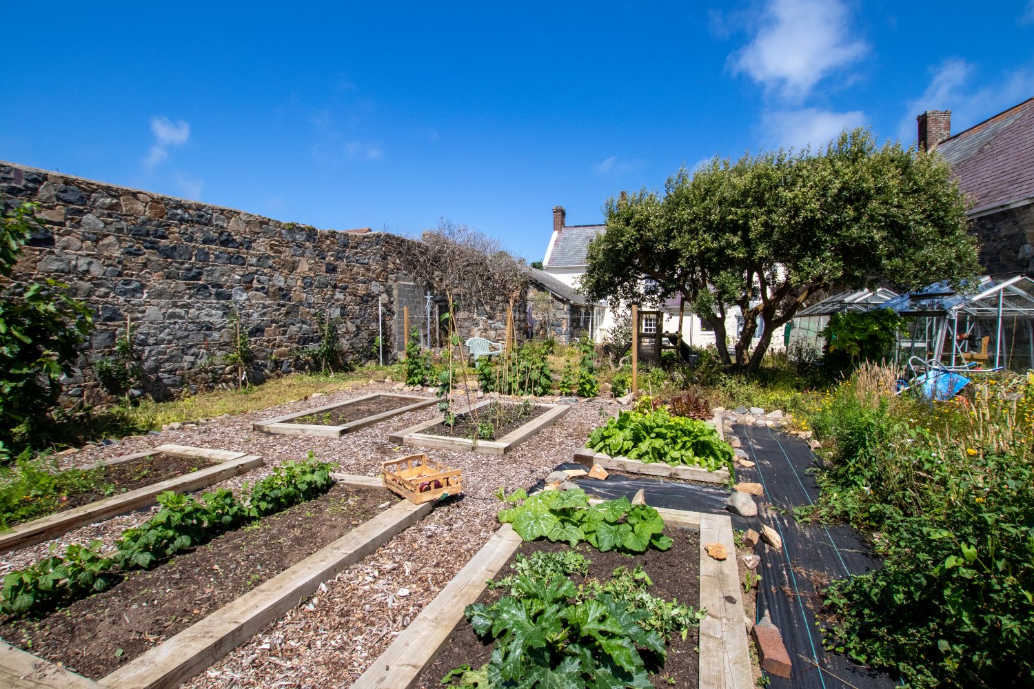 La Moye Farm photo 17