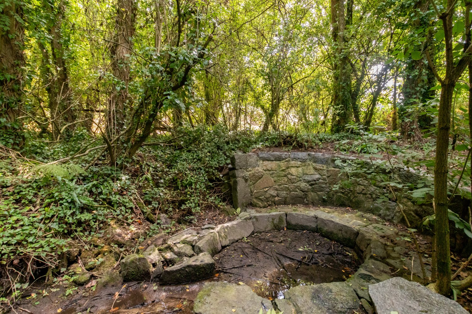 Le Clos De Bas photo 44
