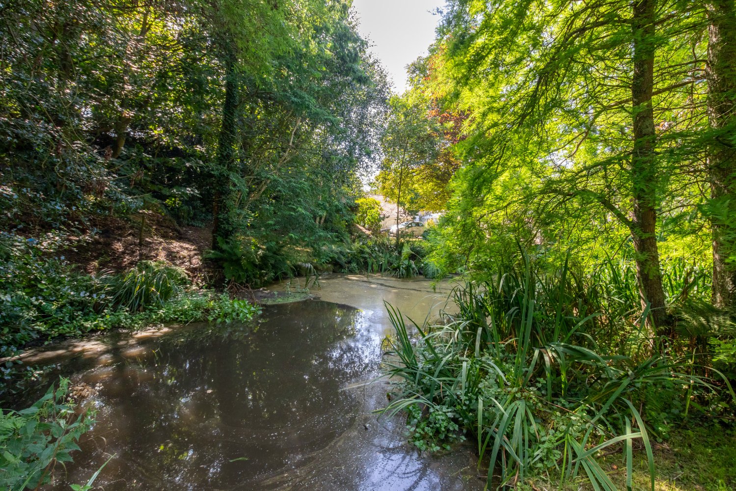 Le Clos De Bas photo 49