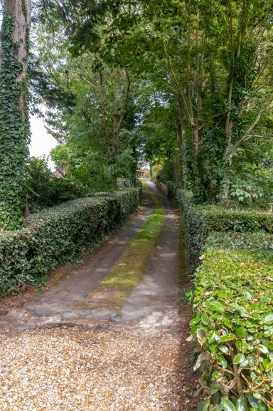 Le Clos De Bas photo 38