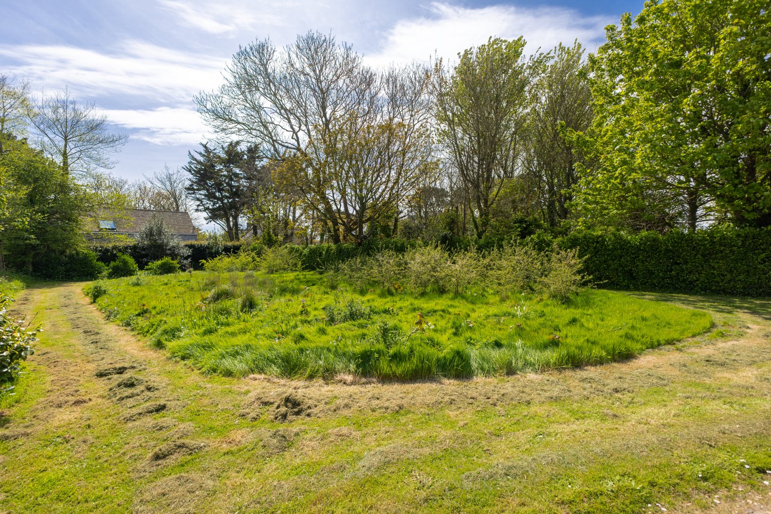 Corbiere Farm photo 36