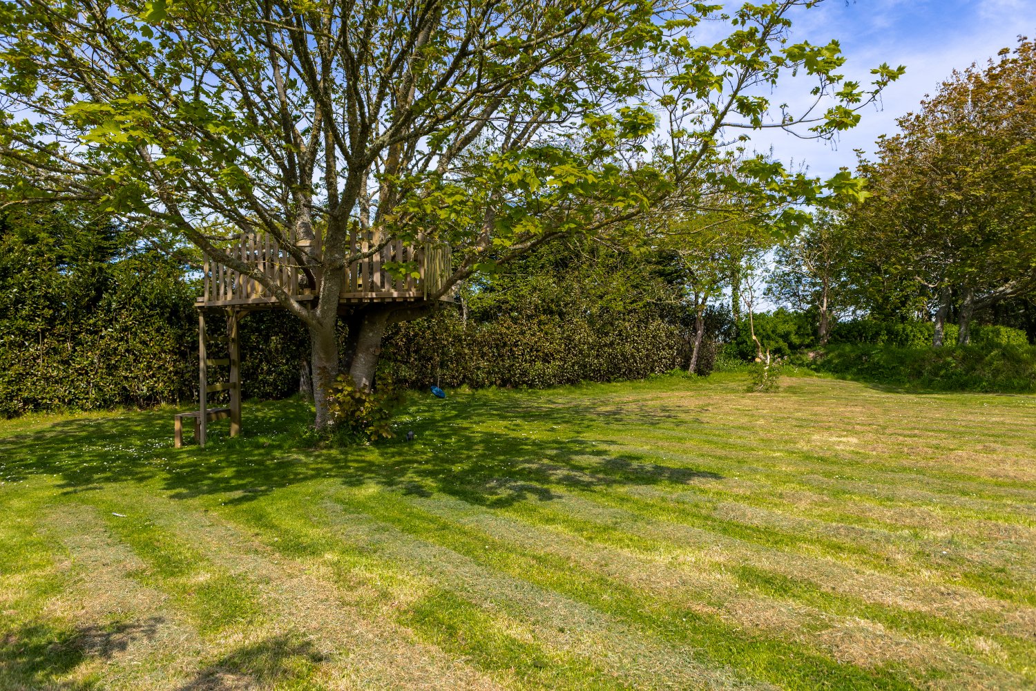 Corbiere Farm photo 34