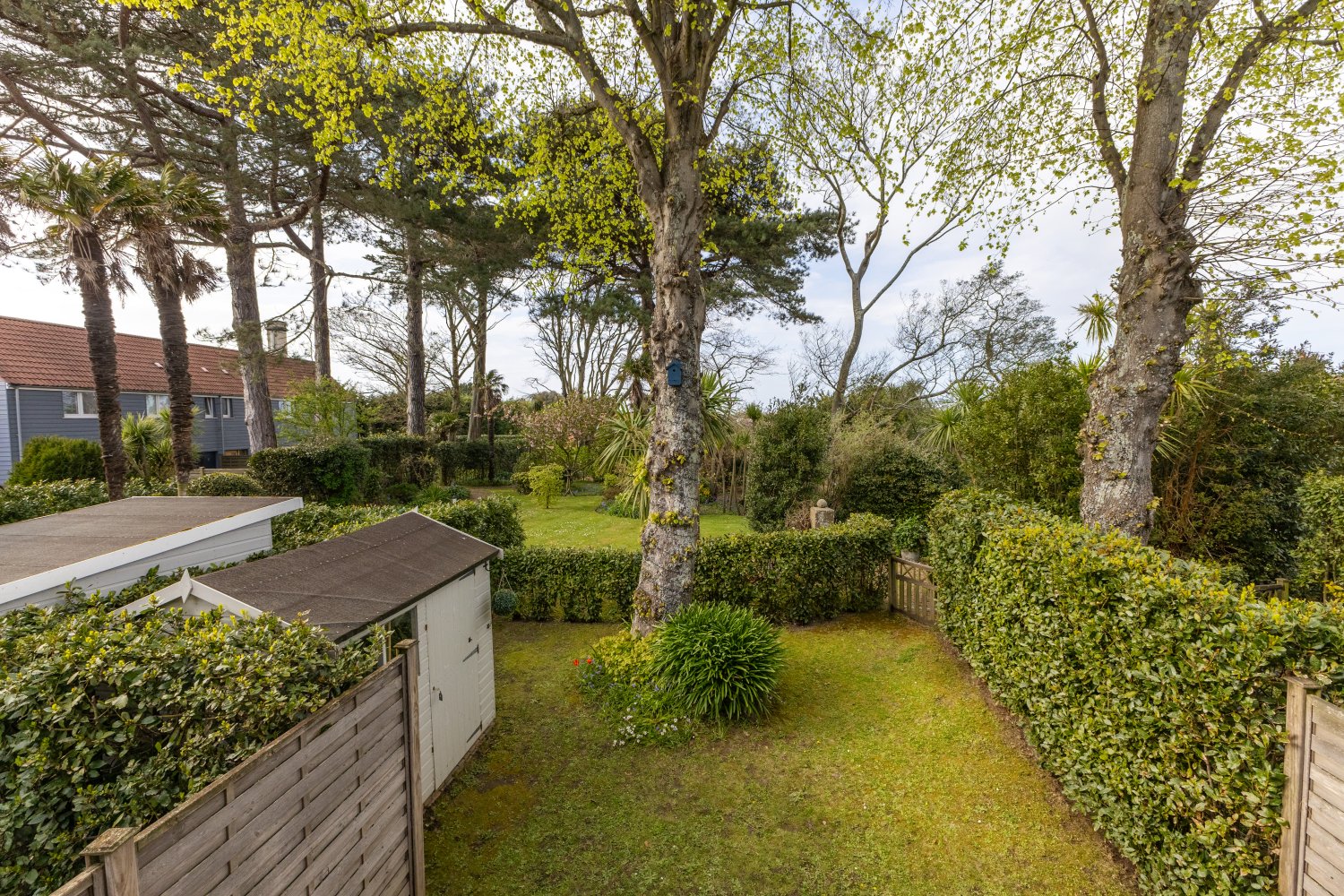 8 Infinity Gardens photo 29