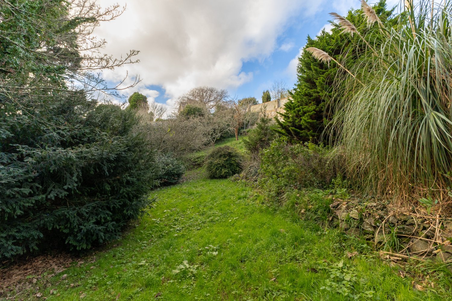 58 Mount Durand photo 17