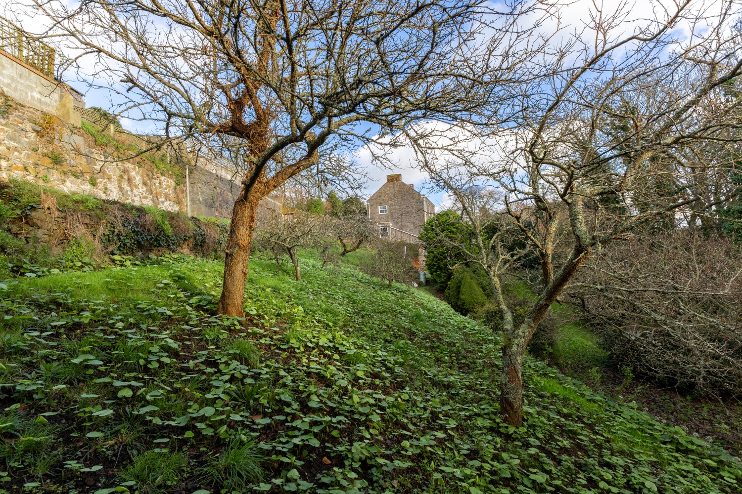 58 Mount Durand photo 18