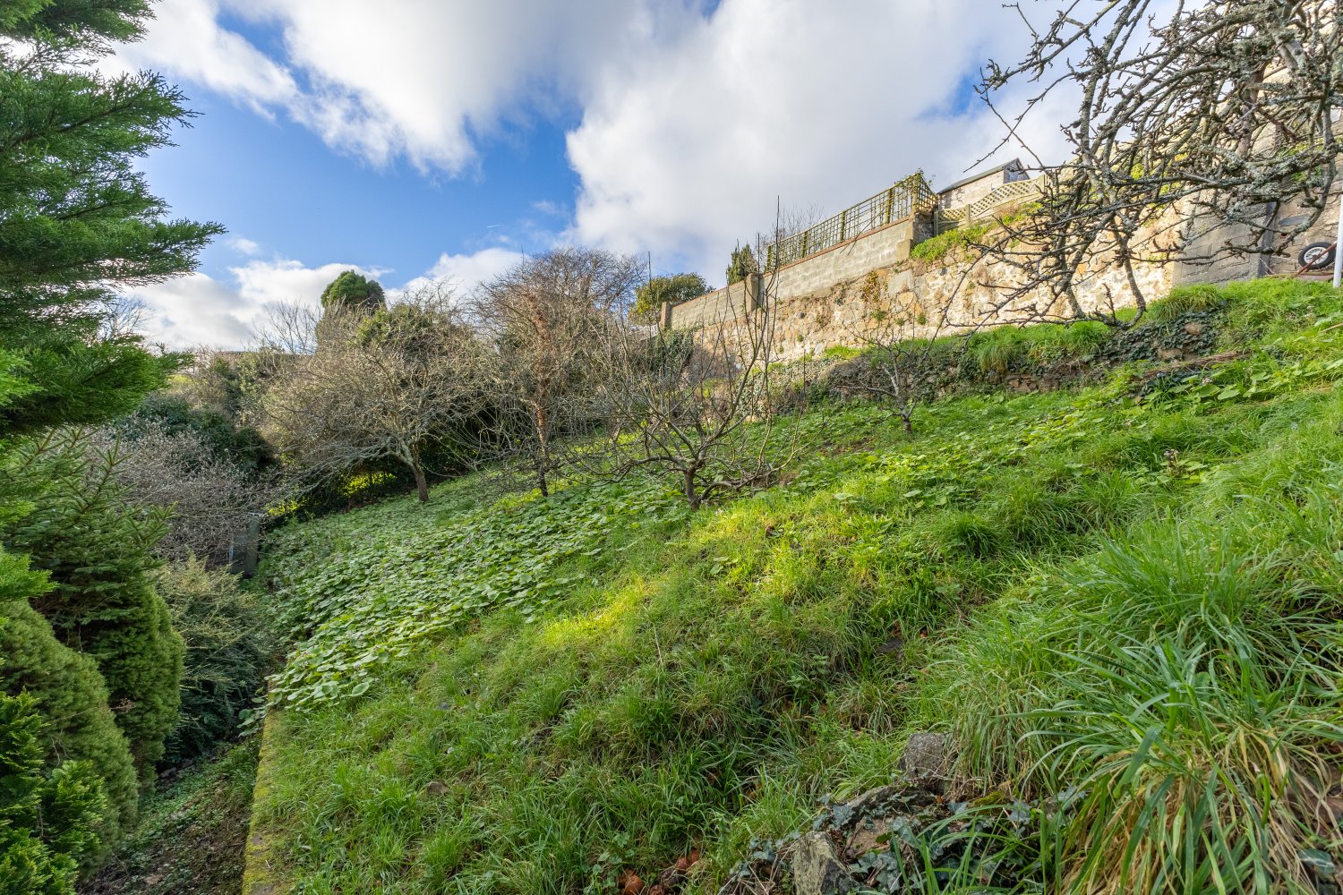 58 Mount Durand photo 15