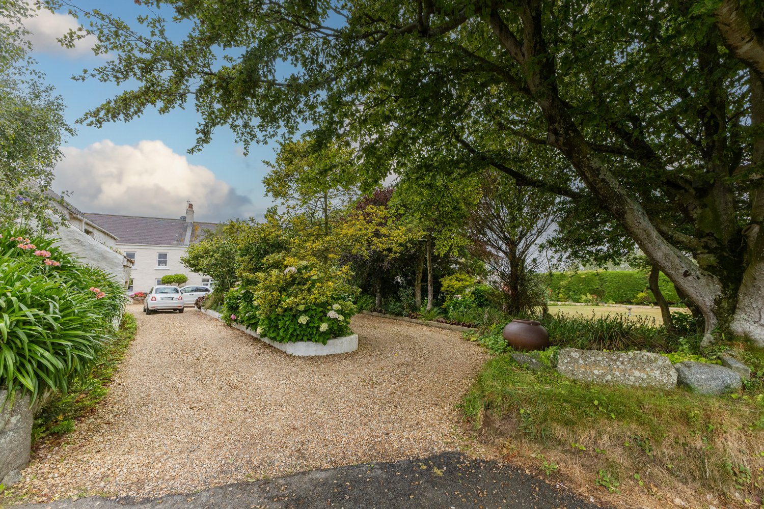 Laleur De Haut photo 37