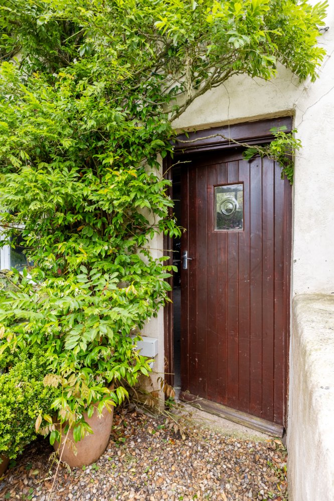 Laleur De Haut photo 34